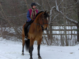 Nancy A. Lindley-Gauthier